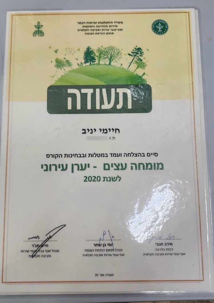 מומחה עצים — יערן עירוני