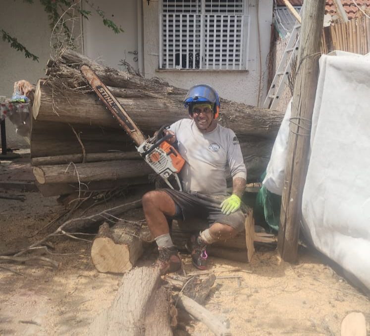 יניב חיימי שטרן — בעלים